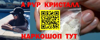 гашик Кингисепп