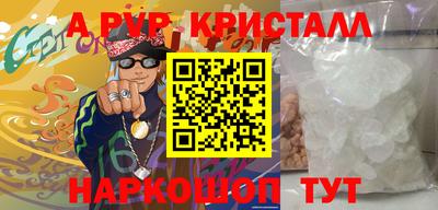 гашик Кингисепп