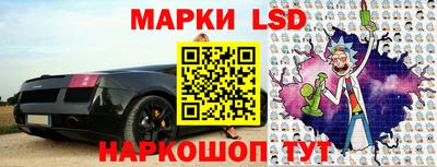 гашик Кингисепп