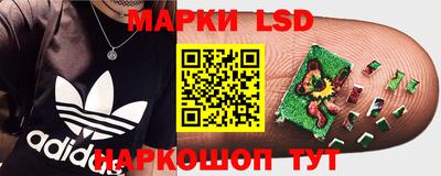 сатива Кимры