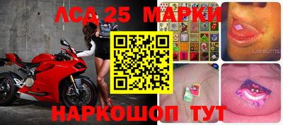 гашик Кингисепп