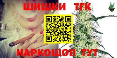 гашик Кингисепп