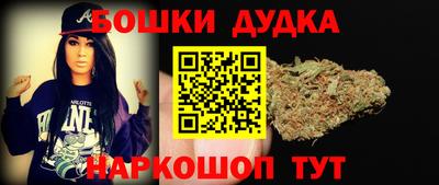 гашик Кингисепп
