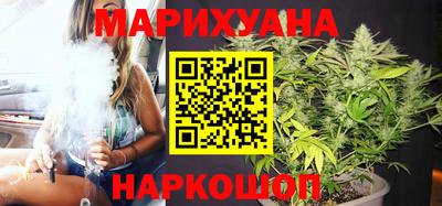 гашик Кингисепп
