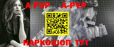гашик Кингисепп