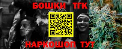 гашик Кингисепп