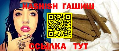 гашик Кингисепп