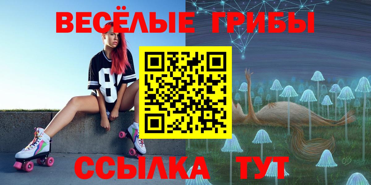 ГАШ Донецк