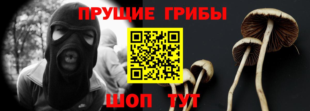 Донецк  Галлюциногенные грибы Psilocybine cubensis  Вход с VPN 